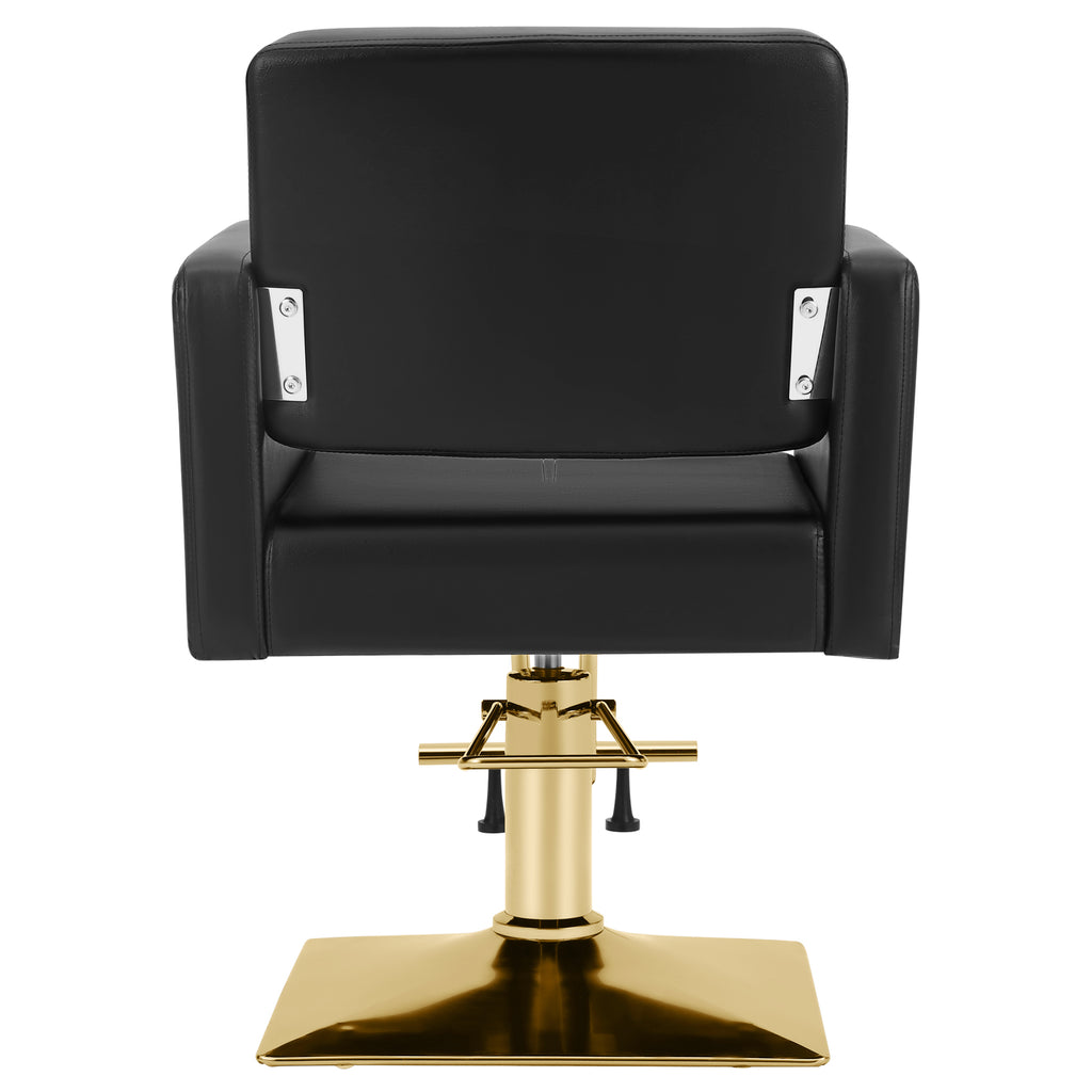 #5237 Hair Salon Chair Black and Gold, Hydraulic Styling Chair with Heavy Duty Pump, 360 Degree Swivel Barber Chair, Beauty Salon Equipment for Hair Stylist, Max Load 330 Lbs
