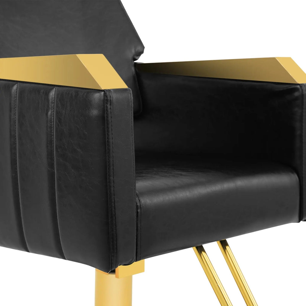 #5048 Prestige Gold Salon Styling Chair Artist hand