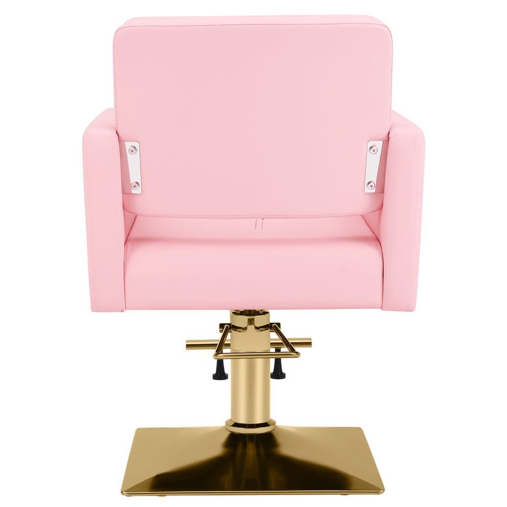#5537 Hair Salon Chair Pink and Gold, Hydraulic Styling Chair with Heavy Duty Pump, 360 Degree Swivel Barber Chair, Beauty Salon Equipment for Hair Stylist, Max Load 330 Lbs