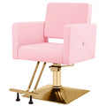 #5537 Hair Salon Chair Pink and Gold, Hydraulic Styling Chair with Heavy Duty Pump, 360 Degree Swivel Barber Chair, Beauty Salon Equipment for Hair Stylist, Max Load 330 Lbs
