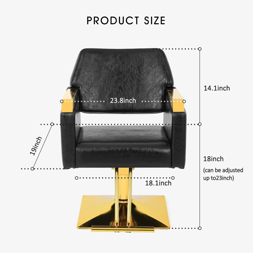 #5048 Prestige Gold Salon Styling Chair Artist hand